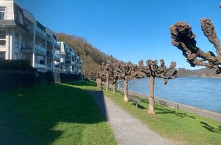 Haus kaufen in 53424 Remagen, Remagen - Penthouse an der Rheinpromenade