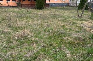 Haus kaufen in 35410 Hungen, Hungen - Landwirtschaft Haus und inklusive Garten Zum Kaufen