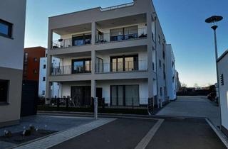 Wohnung mieten in 53919 Weilerswist, Erstbezug im Neubau: Barrierefreie 2-Zimmer-Wohnung in absoluter Top-Lage