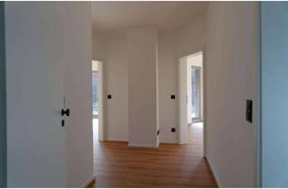 Wohnung mieten in 29574 Ebstorf, Moderne 2-Zimmer-Wohnung in Ebstorf