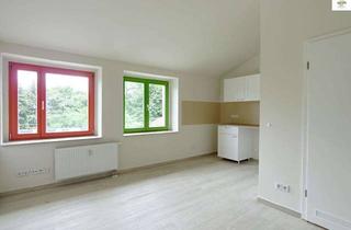 Wohnung mieten in Leipziger Str. 2A, 01097 Leipziger Vorstadt, Sehr helles Dach-Apartment mit Badewanne und EBK
