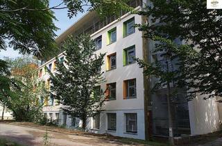 Wohnung mieten in August- Bebel- Str. 17, 01219 Strehlen, Top- Apartment in direkter Uninähe mit Badewanne