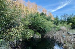 Haus kaufen in 79254 Oberried, Tradition trifft Nachhaltigkeit – Großzügiges Schwarzwaldhaus mit Einliegerwohnung und Wintergarten