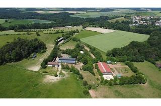 Haus kaufen in 66484 Battweiler, Sofort übernehmbarer Pensionspferdebetrieb mit 33 Einstellern & Wachstumspotenzial