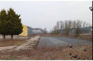Gewerbeimmobilie kaufen in Trebnitzer Weg 1c, 15374 Müncheberg, Müncheberg (50 km östlich von Berlin): Großes Gewerbegrundstück mit 2 Lagerhallen, insgesamt ca. 3.0