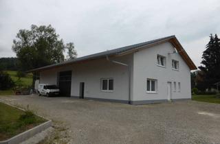 Gewerbeimmobilie mieten in Zeppelinstr. 13, 88693 Deggenhausertal, Gewerbehalle - Deggenhausertal