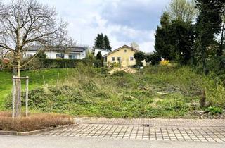 Grundstück zu kaufen in 76547 Sinzheim, Baugrundstück in Sinzheimer Bestlage zu verkaufen.