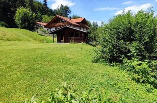 Grundstück zu kaufen in 83646 Bad Tölz, Bad Tölz idyllisches Baugrundstück Isarnähe