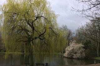 Immobilie mieten in Am Stadtgarten, 45879 Altstadt, Exklusives Business-Apartment im PLAZA-Komplex – Wohnen am Stadtpark auf höchstem Niveau