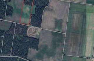 Gewerbeimmobilie kaufen in 29485 Lemgow, Acker, Grünland & Wald: Land- und Forstgrundstück (ca. 4,75 ha) zur Kapitalanlage od Eigennutzung
