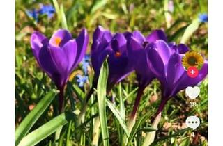 Wohnung kaufen in 47799 Krefeld, Krefeld - ETW frei, Toplage Krefeld Verberg