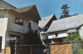 Haus kaufen in 65597 Hünfelden, Hünfelden - Außergewöhnliches Anwesen für Menschen mit Vision in Hünfelden -D