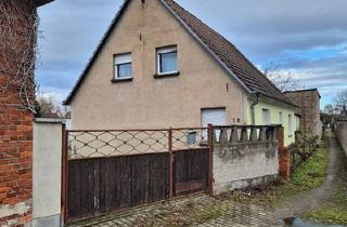 Einfamilienhaus kaufen in 39240 Calbe, Calbe (Saale) - Einfamilienhaus in Groß Rosenburg