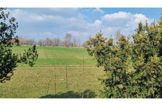 Einfamilienhaus kaufen in 01454 Radeberg, Radeberg - Viel Arbeit - aber es lohnt sich!