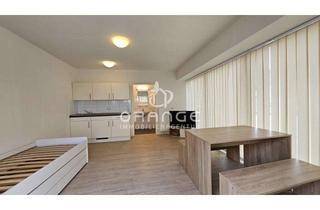 Wohnung mieten in 32584 Löhne, ***Möbliertes Single-Appartement in Löhne***