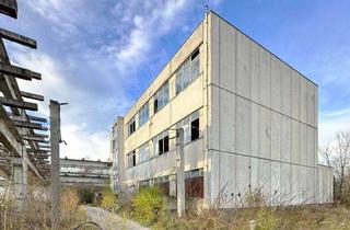 Gewerbeimmobilie kaufen in 39218 Schönebeck, Provisionsfreies Gewerbeareal 3 Etagen a1.000 kg/m² Traglast -4.564 m²- am Industriepark Schönebeck