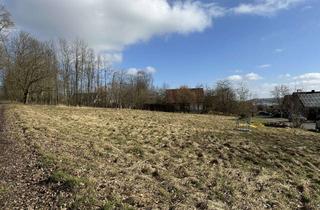 Grundstück zu kaufen in 37696 Marienmünster, Ferienhausgrundstück mit großer Grünfläche - Waldrand - sofort bebaubar