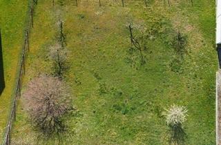 Grundstück zu kaufen in Hölzerner Straße, 74246 Eberstadt, Rarität in Eberstadt - Großzügiges Baugrundstück ohne Bauzwang & provisionsfrei!