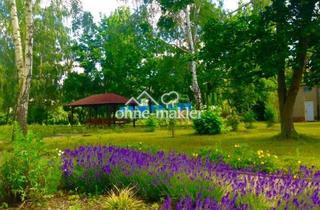 Immobilie mieten in Ostbahnhofstr. 20A, 04838 Eilenburg, 1&2 R-WE Senioren- Wohnen mit DRK-Service, große Grünanlage, ruhige, zentrale Toplage