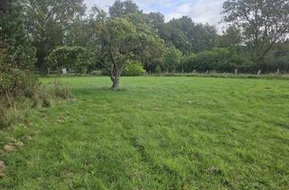 Grundstück zu kaufen in Gartenstraße 35, 14662 Friesack, Ruhiges Baugrudstück im Havelland ca.70km vom Berliner Zentrum entfernt