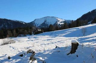 Wohnung kaufen in Beim Dannelar 10, 87534 Oberstaufen, Gelegenheit von privat - 4 Zimmer mit unverbautem Hochgratblick am Ortsrand von Steibis