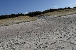 Wohnung kaufen in 18347 Dierhagen, 3 Zimmer Maisonette-Wohnung in Dierhagen mit Garage