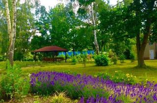 Wohnung mieten in Ostbahnhofstr. 20A, 04838 Eilenburg, 1&2 R-WE Senioren- Wohnen mit DRK-Service, große Grünanlage, ruhige, zentrale Toplage
