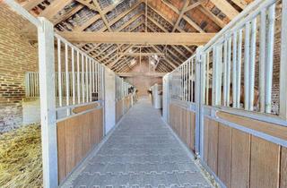 Wohnung mieten in In Ellinghoven, 41844 Wegberg, Einzigartiges Wohnen am Naturschutzgebiet: 2-Zimmer-Wohnung 81 qm auf privatem Pferdehof