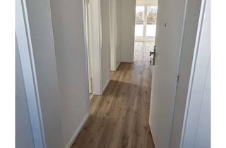 Wohnung mieten in 64546 Mörfelden-Walldorf, Erstbezug: Helle 2-Zimmer Dachgeschosswohnung mit Balkon in Mörfelden-Walldorf