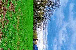 Grundstück zu kaufen in 63667 Nidda, Grundstücke in traumhafter Lage