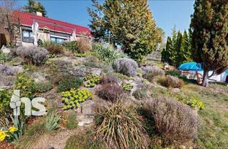 Haus kaufen in Ehrauberge, 06632 Freyburg, PROVISIONSFREI: Ferienhaus bei Freyburg mit großem Grundstück & Wohnhaus-Genehmigung