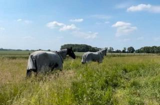Bauernhaus kaufen in 28790 Schwanewede, Schwanewede - Selbstversorger Pferdehof Bauernhof Leben mit Tieren