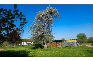 Haus kaufen in 17168 Jördenstorf, Jördenstorf - für Tierliebhaber, Pferde, Hunde, Schafe usw.,50 km südl. Rostock