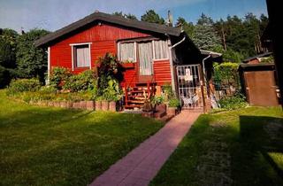 Einfamilienhaus kaufen in 29490 Neu Darchau, Neu Darchau - Haus zum Verkauf in Neu Darchau