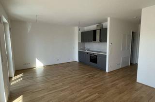 Wohnung mieten in Donnersbergring, 64295 Darmstadt, Neubau 1-Zimmer Wohnung im 1. OG in Darmstadt-Mitte inkl. EK