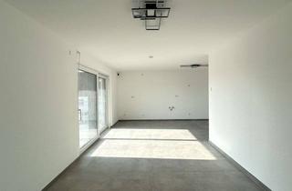 Wohnung mieten in Hauptstr. 4/1, 74243 Langenbrettach, Erstbezug einer Neubau 4-Zimmer-Wohnung im 2.OG inkl. Außenstellplatz