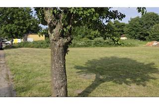 Grundstück zu kaufen in 18569 Trent, Baugrundstück