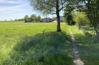 Grundstück zu kaufen in 83549 Eiselfing, Baugrundstück in außergewöhnlich guter Lage