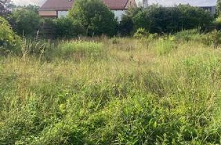 Grundstück zu kaufen in 93049 Großprüfening-Dechbetten-Königswiesen, Attraktives Baugrundstück im Regensburger Westen/ Großprüfening - eine seltene Gelegenheit.