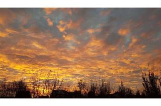 Wohnung kaufen in 74243 Langenbrettach, Tolle modernisierte 4,5 Zi.-Maisonette-Whg. ohne Provision