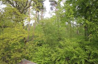 Wohnung mieten in 63150 Heusenstamm, Heusenstamm: Helle, neu renovierte 3-Zimmer-Wohnung mit Balkon in ruhiger Lage nahe Waldrand