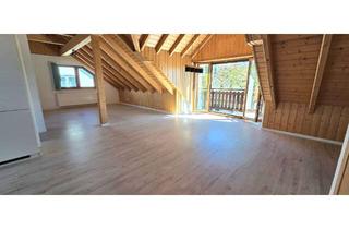 Wohnung mieten in 64625 Bensheim, Helle renovierte 2-Zimmer-Dachstudio-Wohnung mit EBK und Südbalkon in Bensheim Kappesgärten