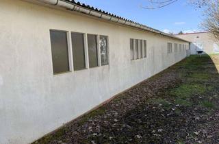 Gewerbeimmobilie kaufen in Klosterstraße 14, 31863 Coppenbrügge, Lagerhalle ehemalige Tischlerei