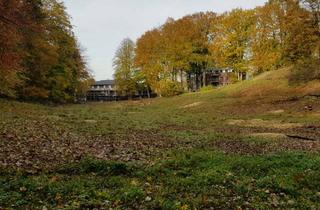 Grundstück zu kaufen in 21521 Aumühle, Aumühle bei Hamburg, Filetgrundstück mit unverbaubarer Südlage