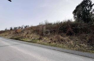 Grundstück zu kaufen in 54298 Welschbillig, GROßES GRUNDSTÜCK, SUPER PREIS, GUTE LAGE, SCHÖNE AUSSICHT