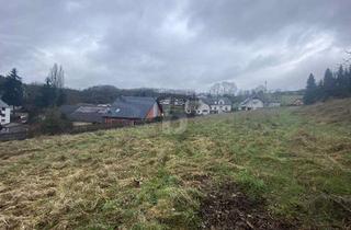 Grundstück zu kaufen in 54675 Utscheid, GROßES GRUNDSTÜCK, VOLL ERSCHLOSSEN, ATTRAKTIVER PREIS