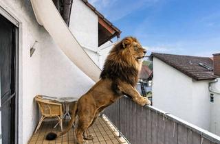 Wohnung kaufen in 64342 Seeheim-Jugenheim, SCHWIND IMMOBILIEN - willkommen in Ihrem neuen Heim - mit zwei Balkonen, Garage und Stellplatz