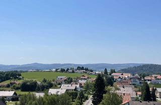 Wohnung kaufen in 94089 Neureichenau, 2 Zimmer Wohnung in Neureichenau Schwimmbad Ferienwohnung