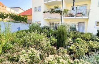 Wohnung mieten in 67169 Kallstadt, Ideal für Singles und Paare.Helle 2-Zimmer-Wohnung mit Terrasse, Stellplatz & Blick ins Grüne