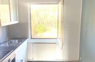 Wohnung mieten in Im Wiesengrund, 37445 Walkenried, *Willkommen in Ihrem Wohlfühl-Zuhause: Helle und freundliche Wohnung in Grünlage!*